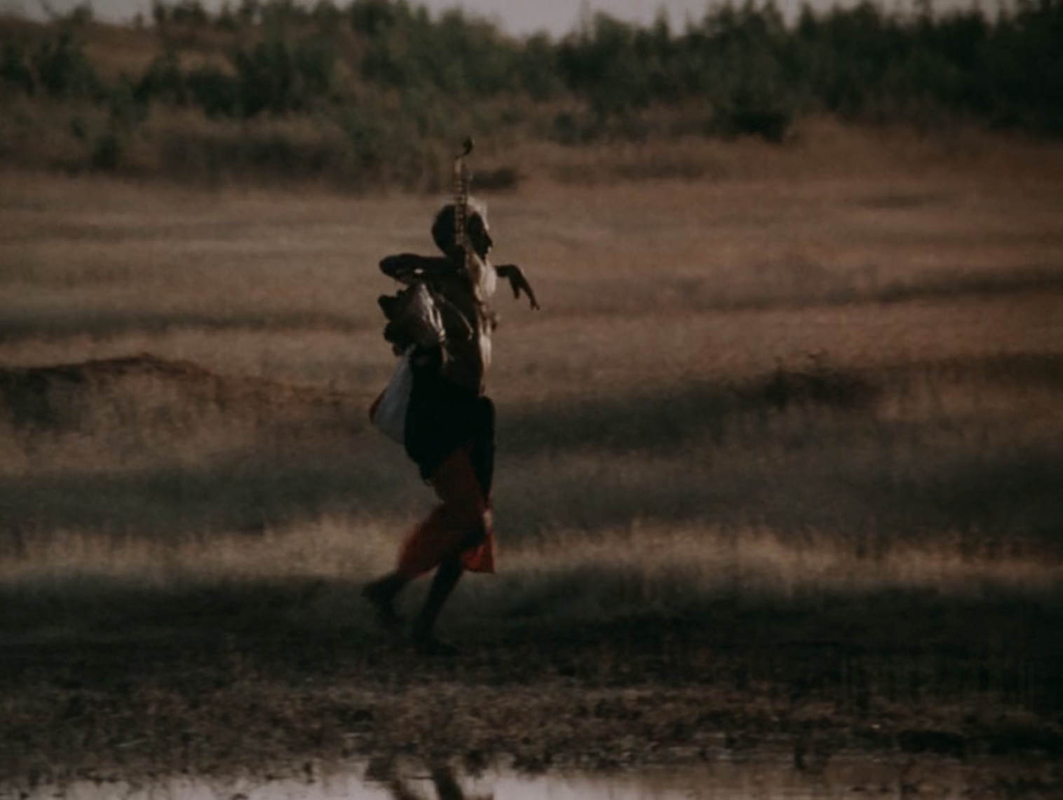 Frame from Kummatty — walking through fields