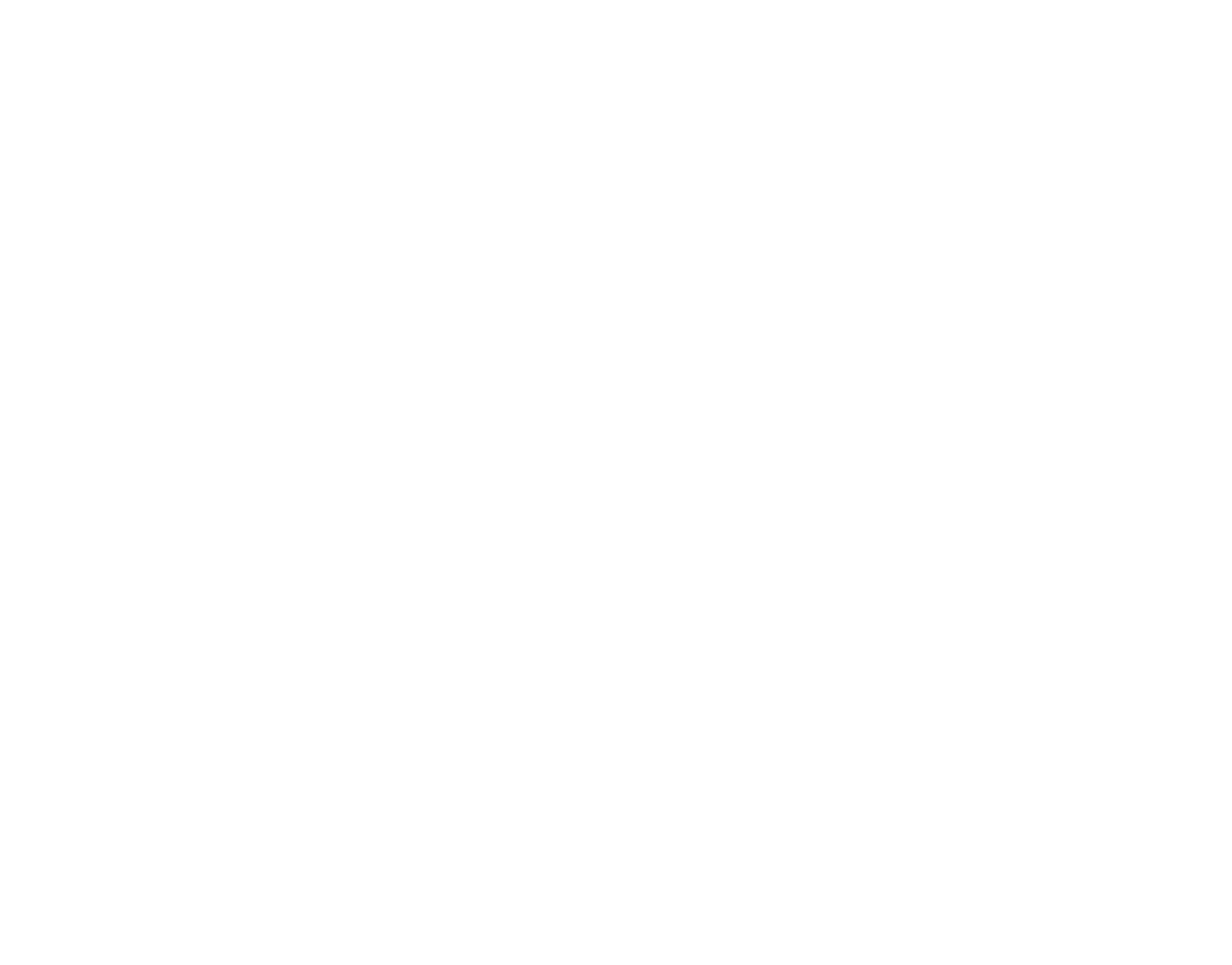 Shaji N. Karun Foundation logo